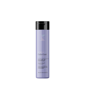 Color Code | Silver -  Anti-Gelbstich-Shampoo